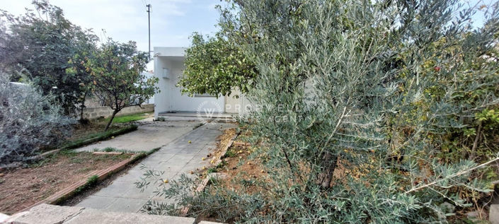 Image No.2-2 Bed House for sale