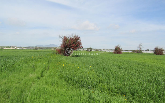 Image No.3-Land for sale