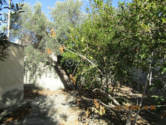 Image No.3-Plot for sale