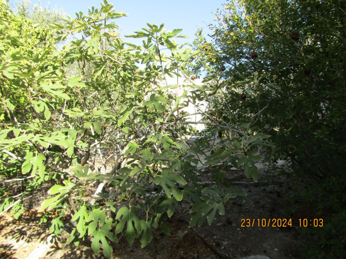 Image No.7-Plot for sale