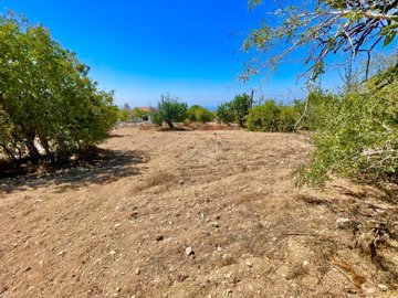 plot-of-land-for-sale-paphos-armou-cyprus