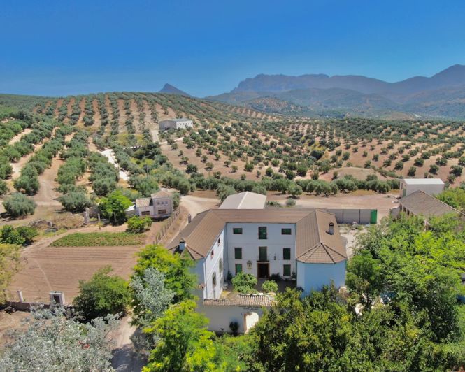 Image No.1-6 Bed Property for sale