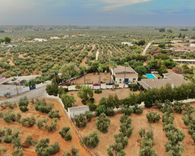 Image No.1-6 Bed Property for sale