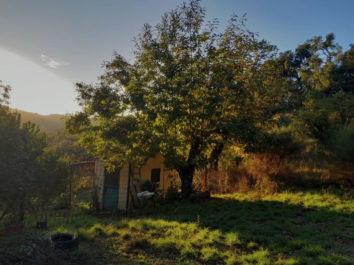 Image No.34-2 Bed Property for sale