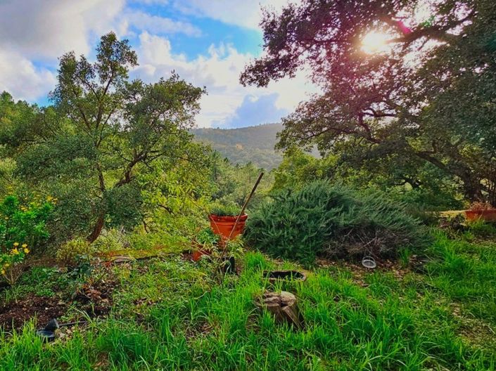 Image No.6-2 Bed Property for sale