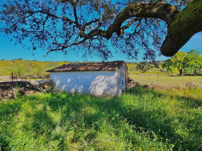 Image No.26-4 Bed Property for sale