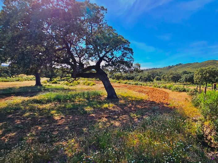 Image No.29-4 Bed Property for sale