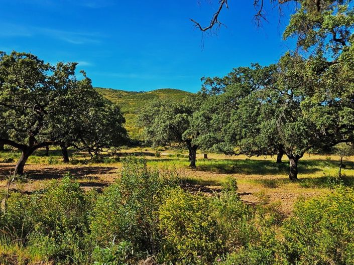 Image No.36-4 Bed Property for sale