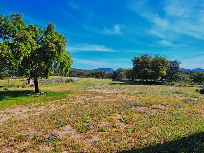 Image No.37-4 Bed Property for sale