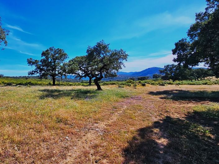 Image No.7-4 Bed Property for sale