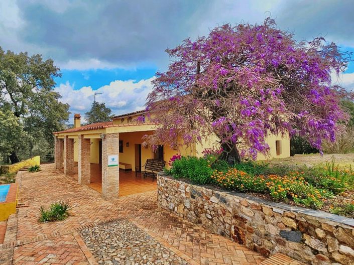 Image No.1-5 Bed Property for sale