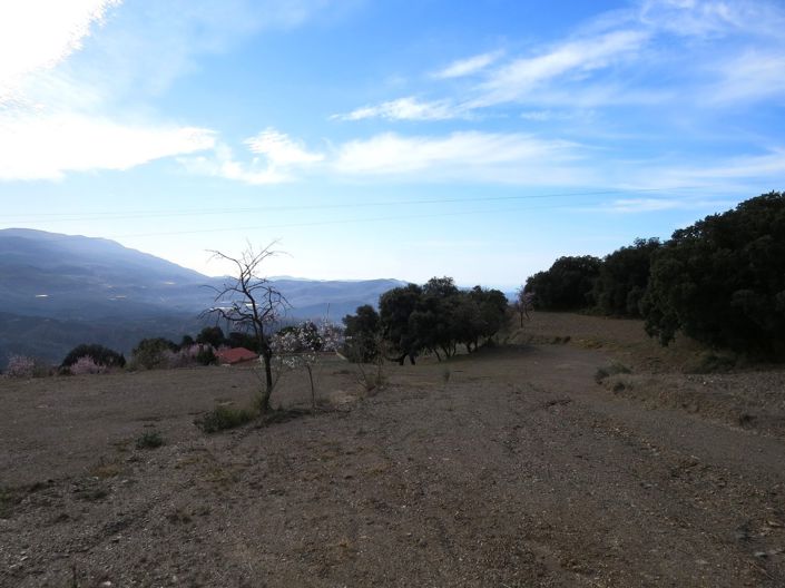 Image No.44-5 Bed Property for sale