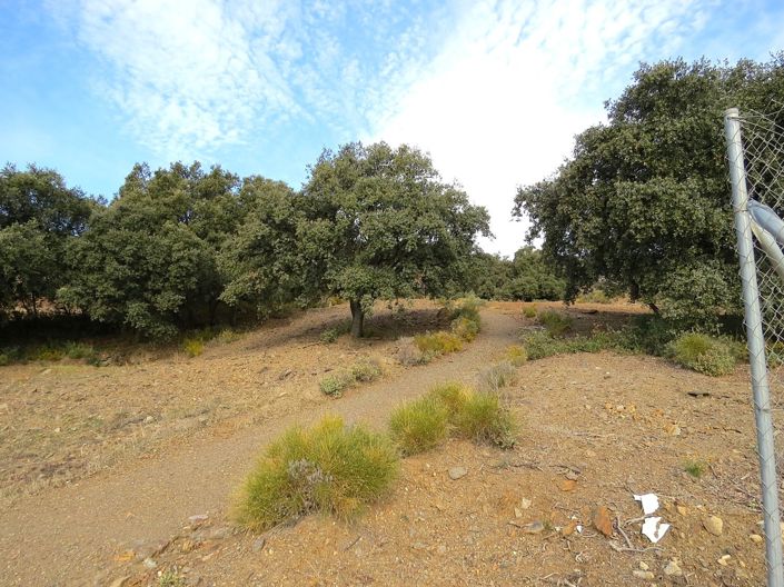 Image No.45-5 Bed Property for sale