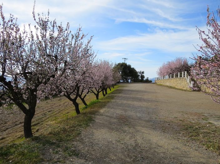 Image No.7-5 Bed Property for sale