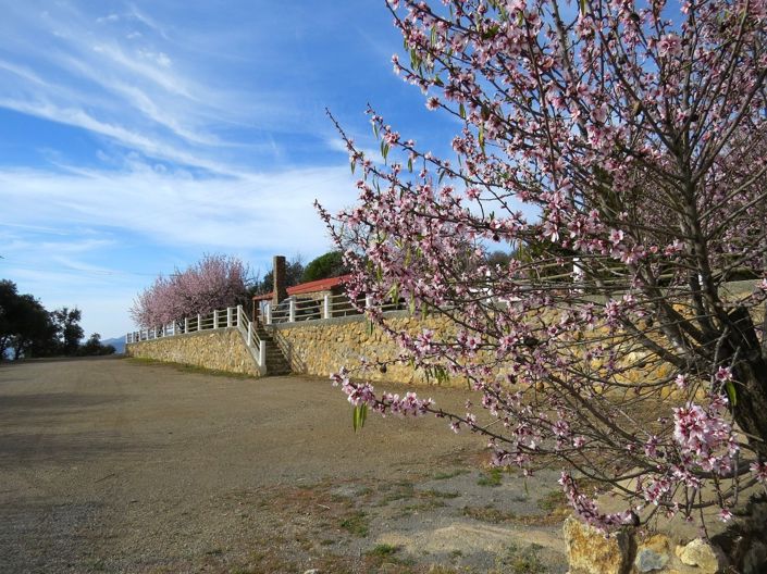 Image No.8-5 Bed Property for sale