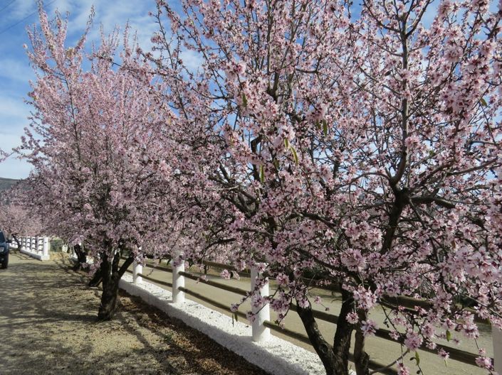 Image No.9-5 Bed Property for sale