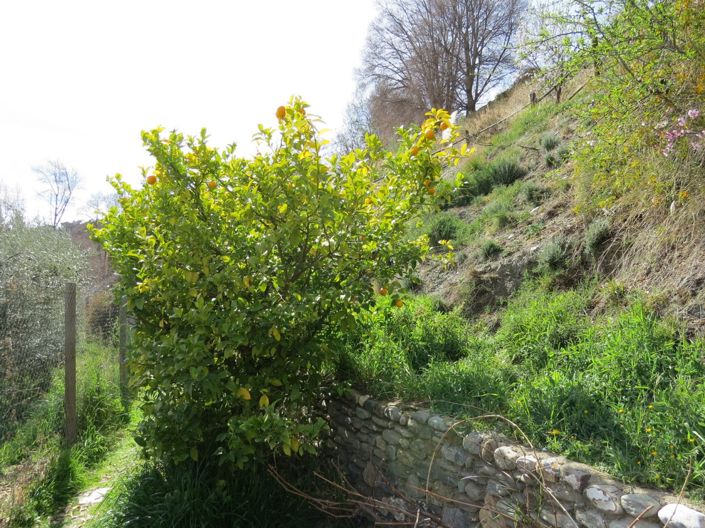 Image No.39-3 Bed Property for sale