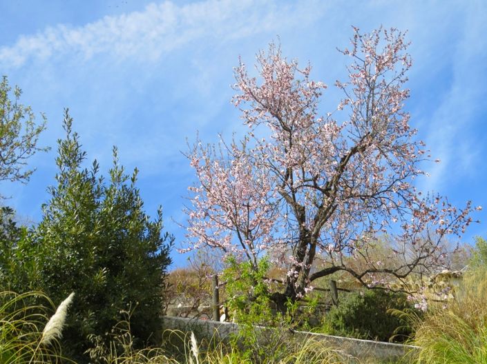 Image No.41-3 Bed Property for sale