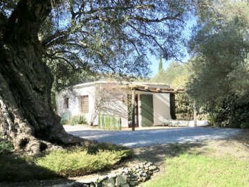 456img7669