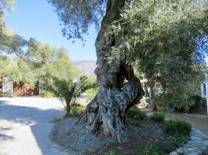 Image No.45-4 Bed Property for sale