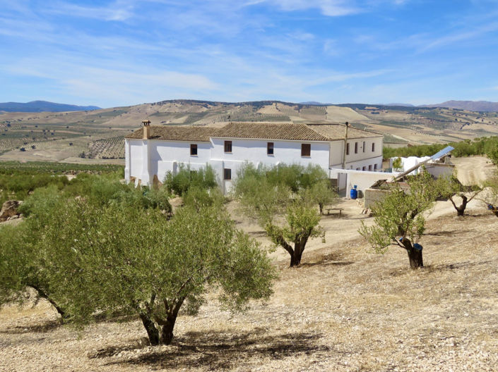 Image No.1-5 Bed Property for sale