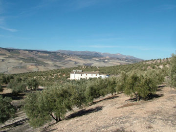 398dscf0083