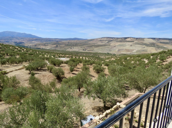 Image No.45-5 Bed Property for sale