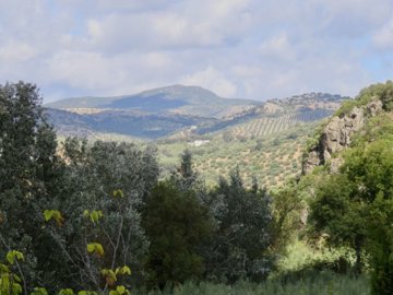 436img7349