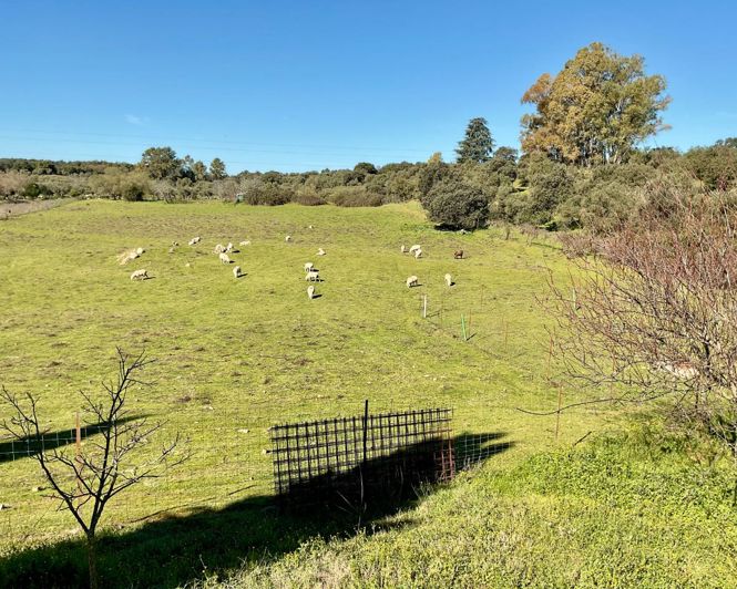 Image No.28-5 Bed Property for sale