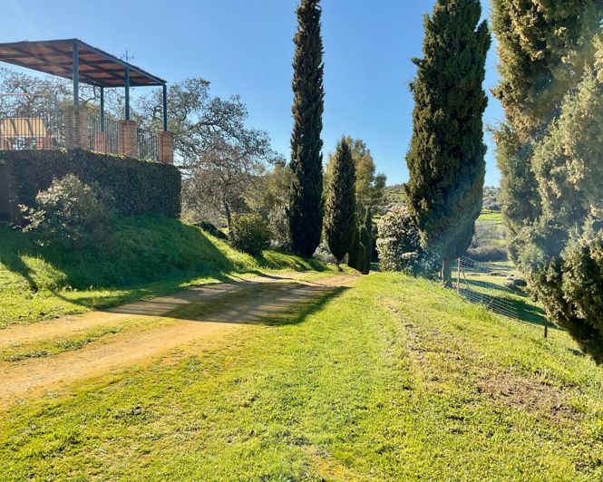 Image No.6-5 Bed Property for sale