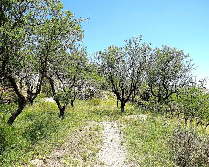 Image No.11-2 Bed Property for sale