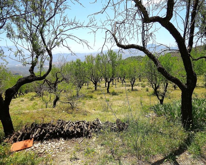 Image No.12-2 Bed Property for sale