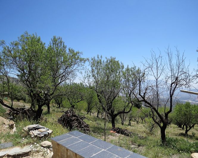 Image No.14-2 Bed Property for sale