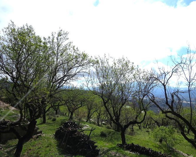 Image No.38-2 Bed Property for sale