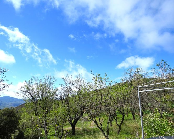 Image No.39-2 Bed Property for sale