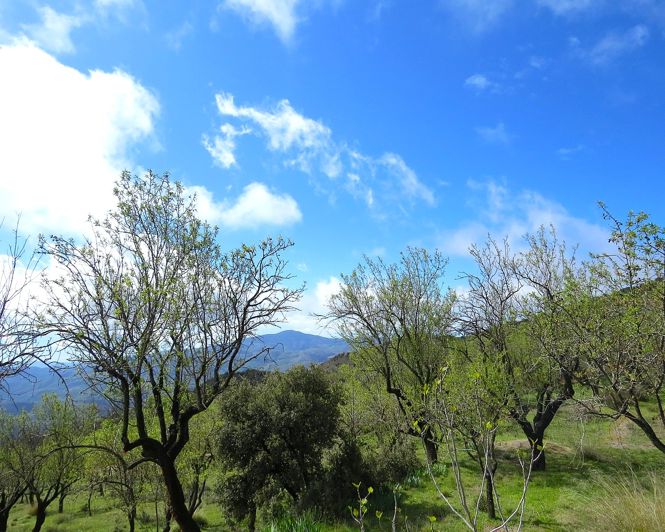 Image No.40-2 Bed Property for sale