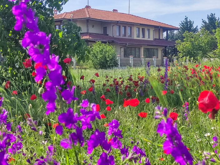 Image No.28-3 Bed House for sale