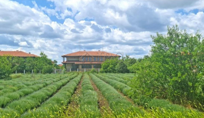 Image No.10-4 Bed House for sale