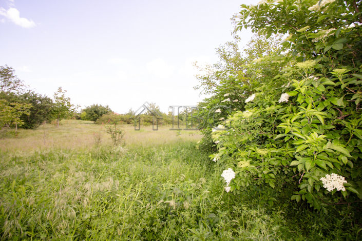 Image No.20-2 Bed House for sale