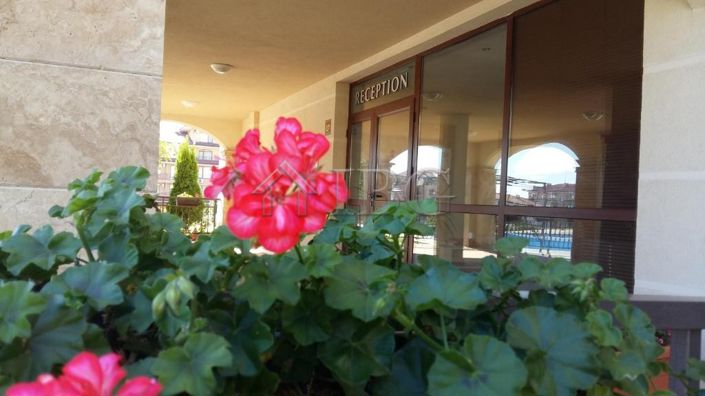 Image No.20-1 Bed Apartment for sale