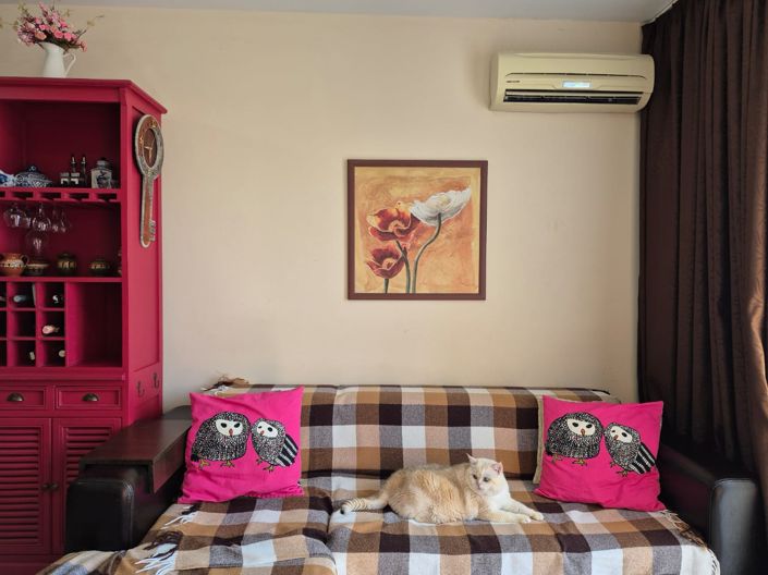 Image No.9-1 Bed Apartment for sale