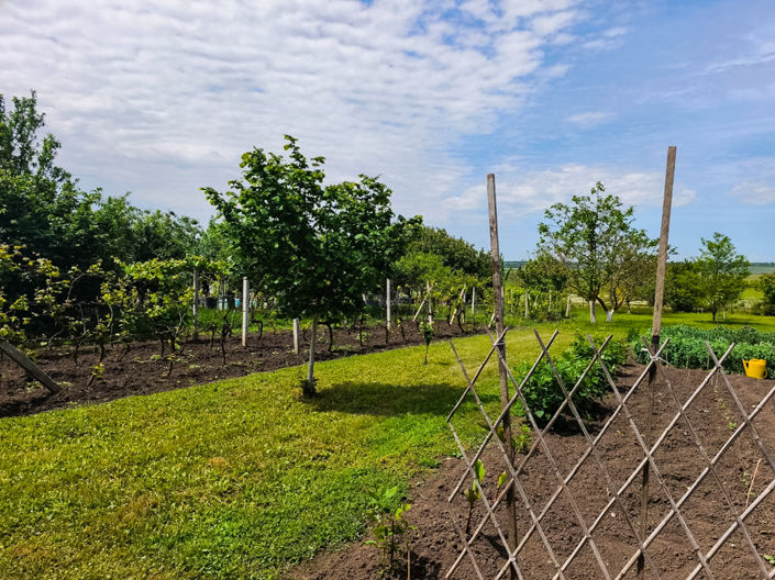 Image No.16-3 Bed House for sale