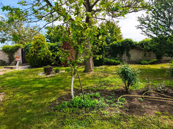 Image No.17-3 Bed House for sale