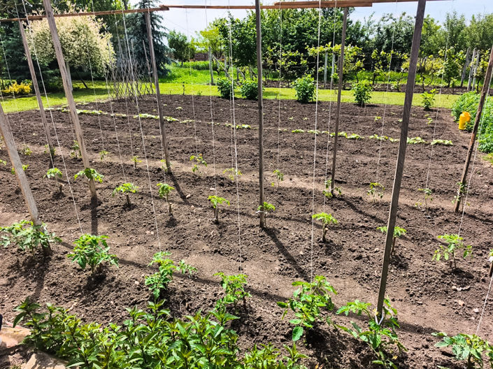 Image No.18-3 Bed House for sale