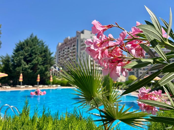 Image No.2-1 Bed Apartment for sale