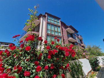 photo2024-05-2519-55-35-2