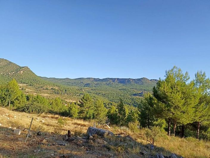 Image No.11-3 Bed Country House for sale