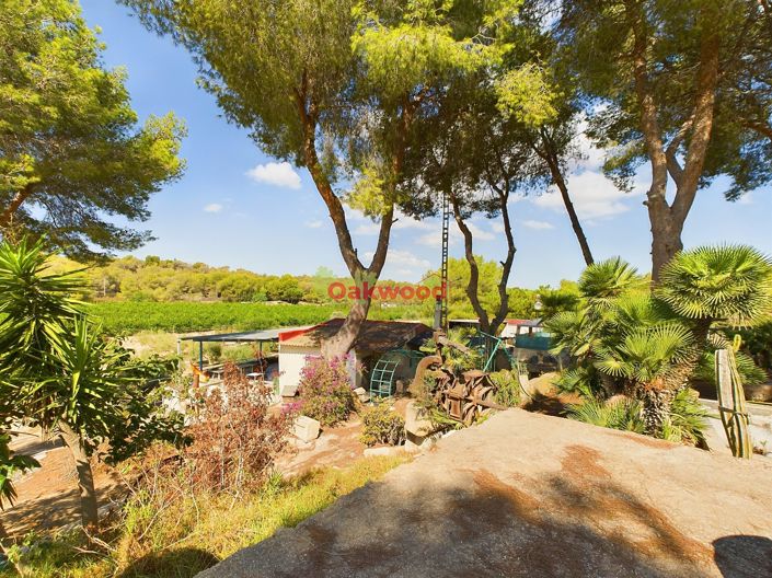 Image No.12-1 Bed Country House for sale