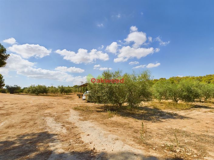 Image No.19-1 Bed Country House for sale