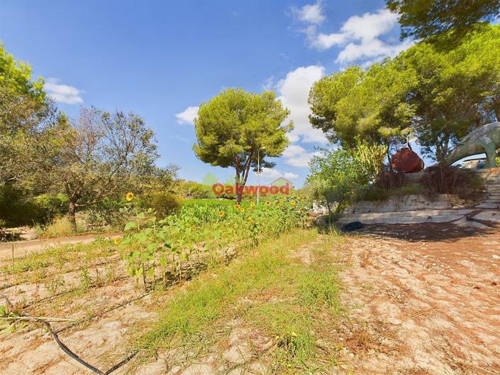 Image No.20-1 Bed Country House for sale